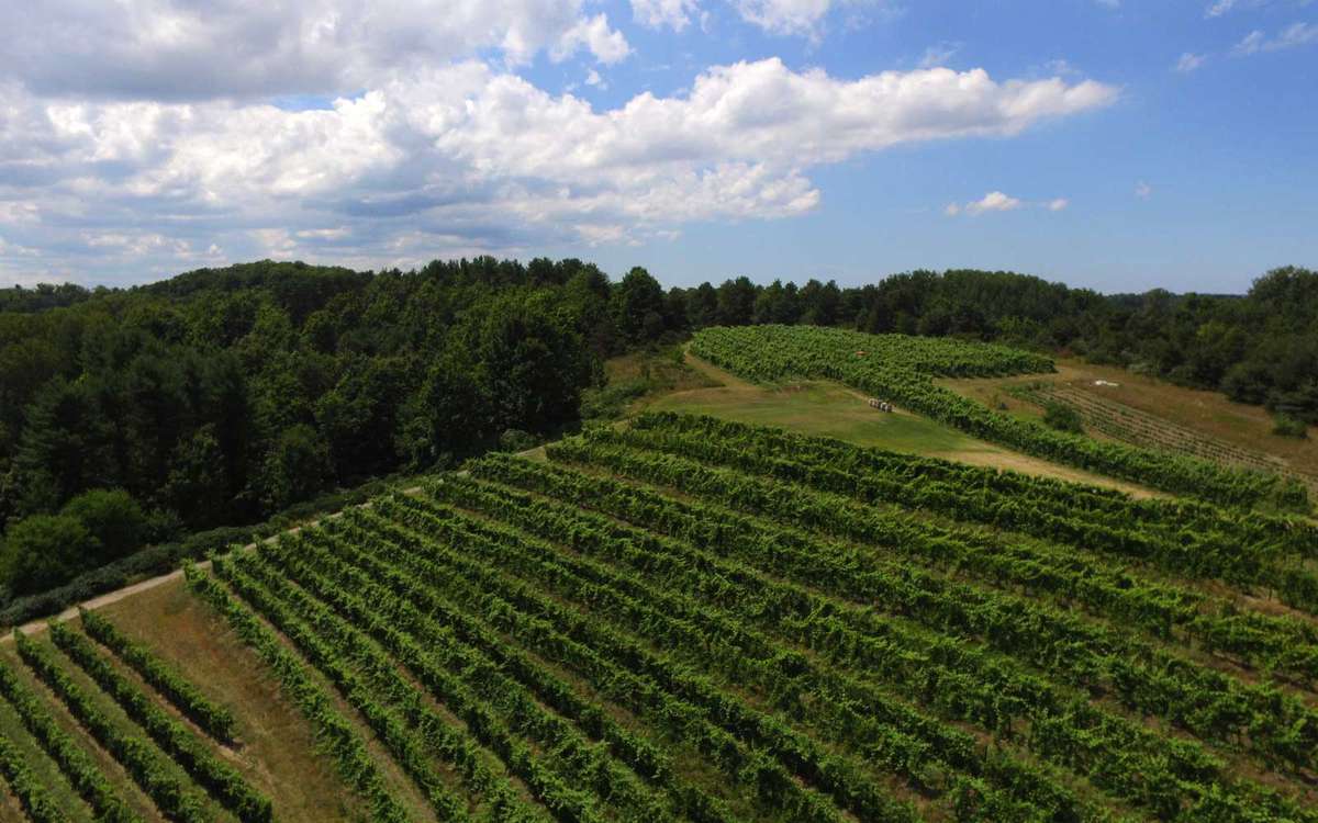 The Vineyards Around Traverse City, Michigan Are Putting the Midwest on