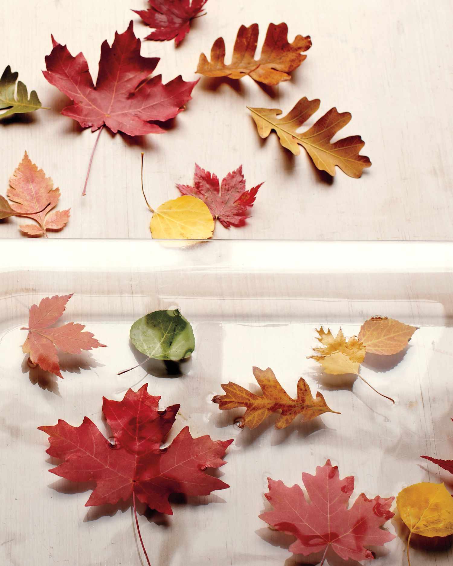 12 Leaf Crafts That Celebrate All the Colors of Fall | Martha Stewart