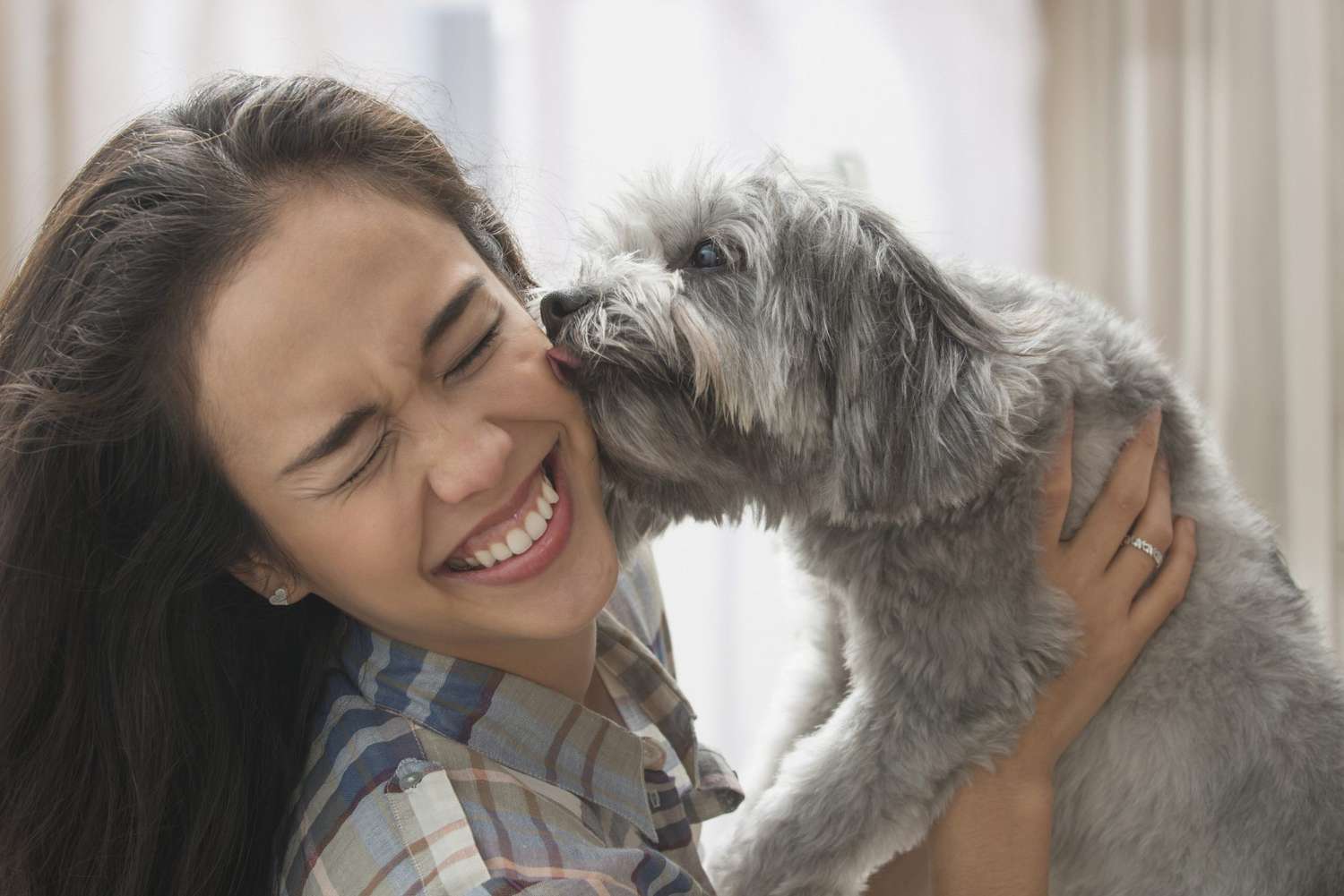 Slobbery Kisses: Unveiling the Real Reasons Why Your Dog Licks Your Face