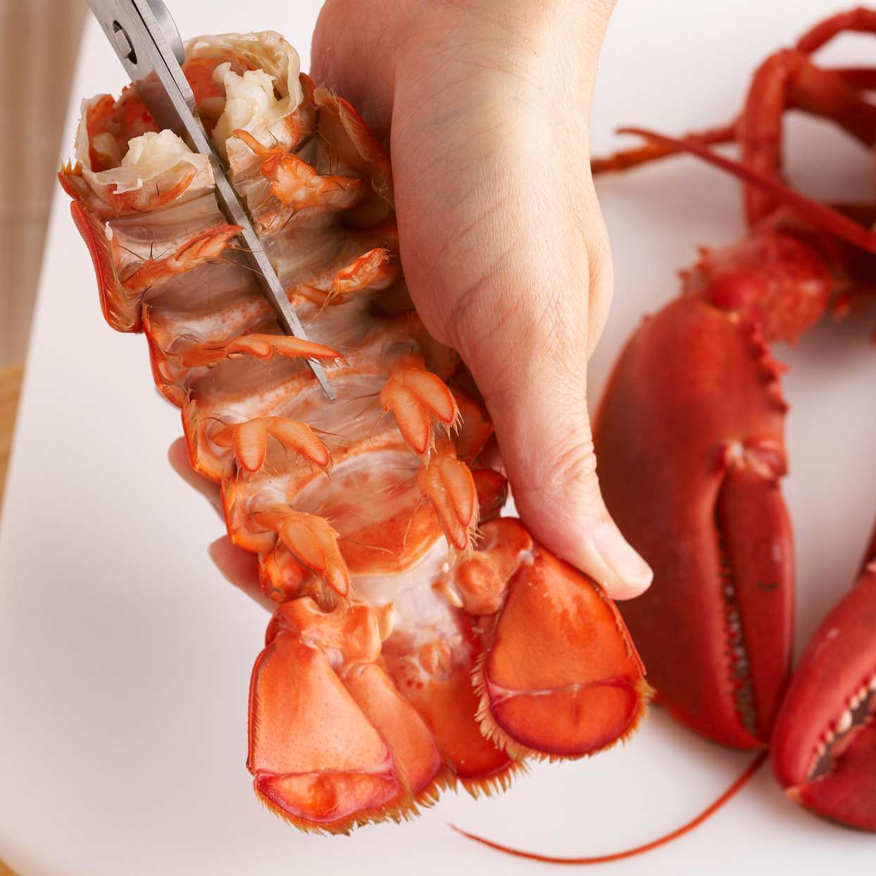 How to Cook Lobster Fit for a Fancy Dinner Celebration Better Homes