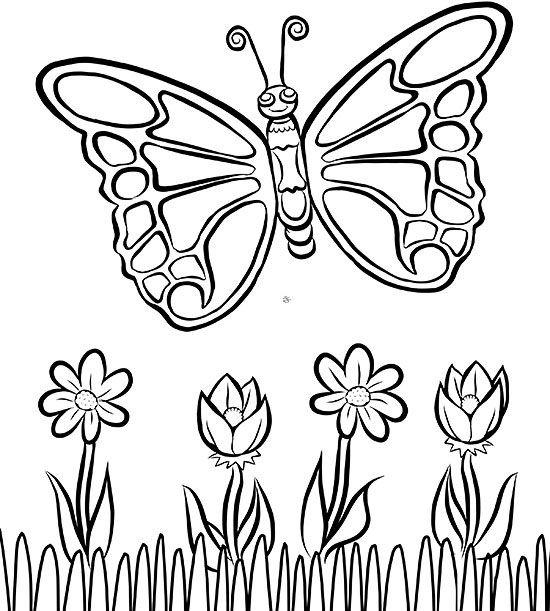 Butterfly Coloring Book Pages To Print
