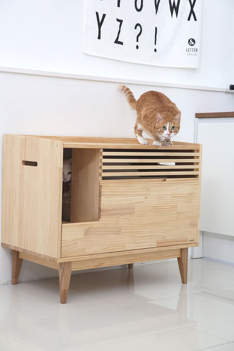 10 Modern Cat Litter Boxes That Blend Beautifully Into Your Decor