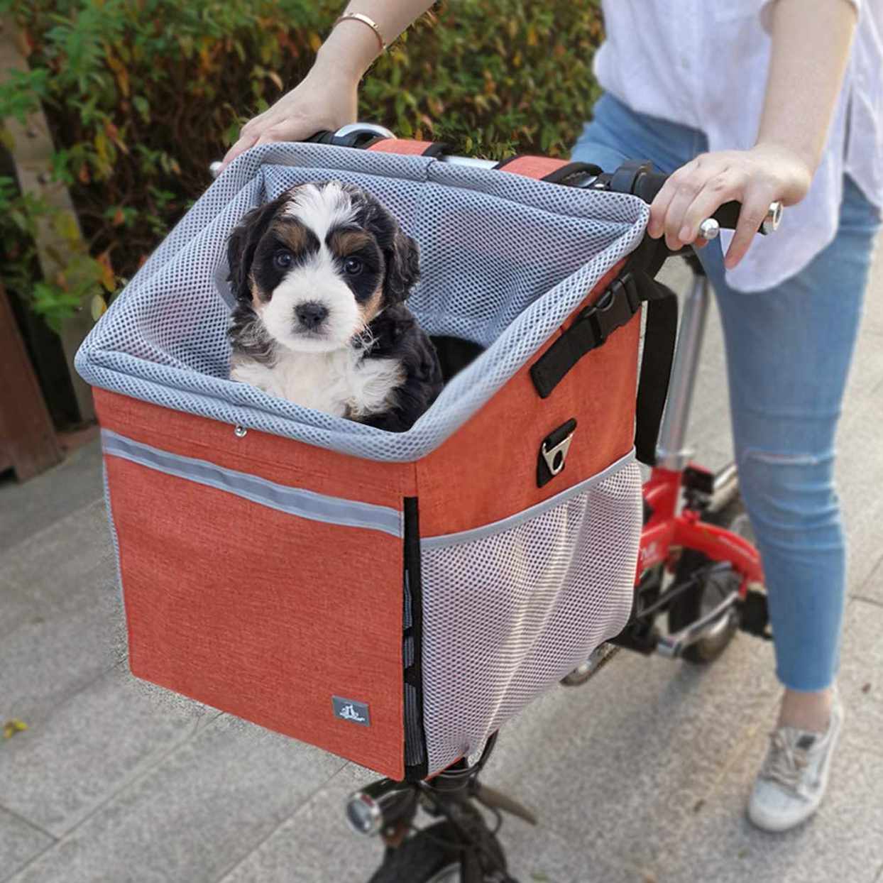 The 12 Best Dog Bike Baskets Daily Paws