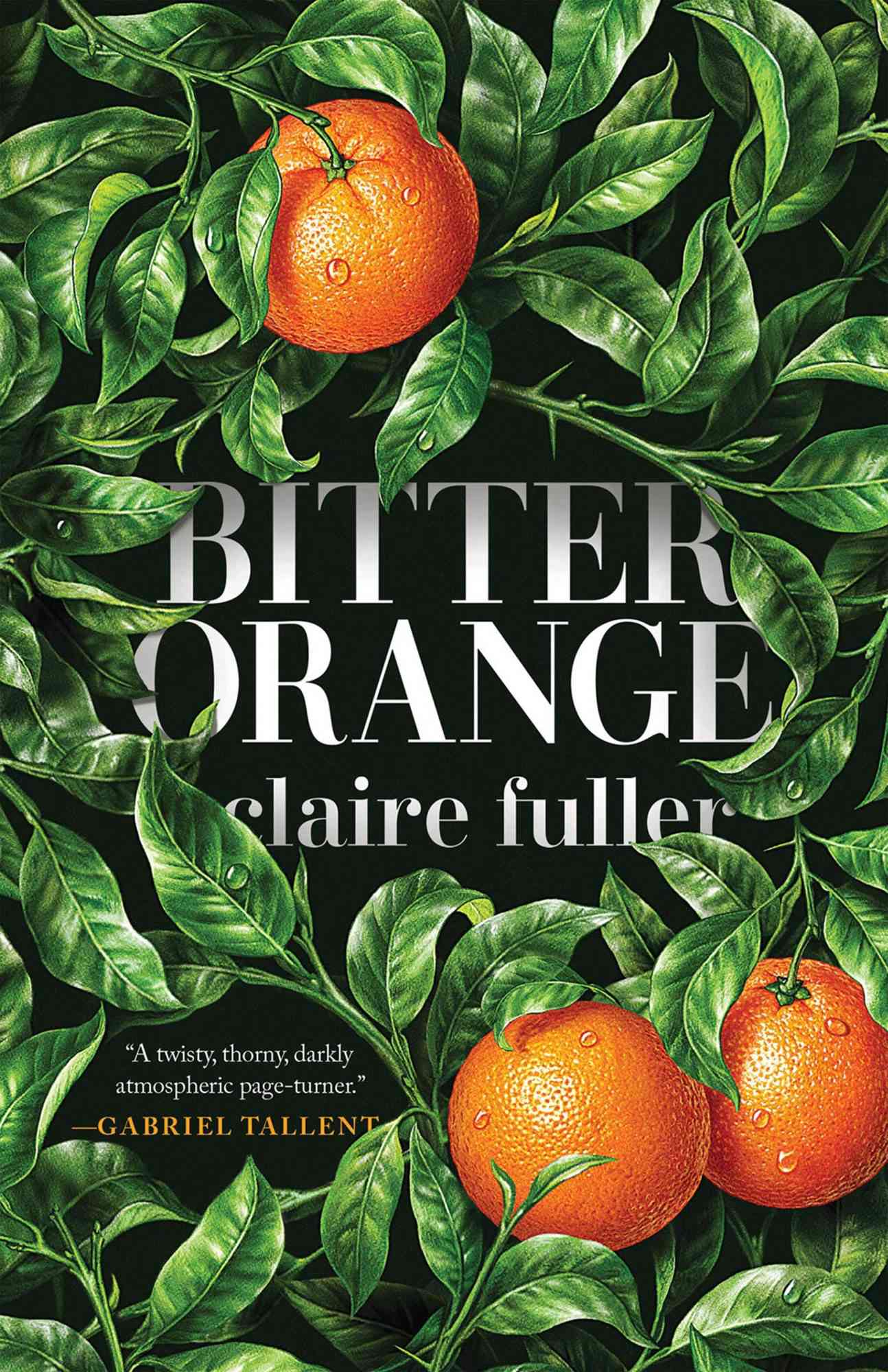 reviews of novel bitter orange