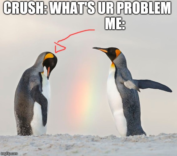 Dank Meme Dankmemes Yeet Memes Penguin Penguins Memethi Meme Png - Gambaran