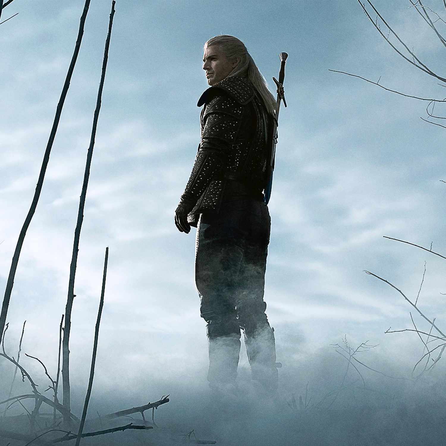 The Witcher Who Is Vesemir