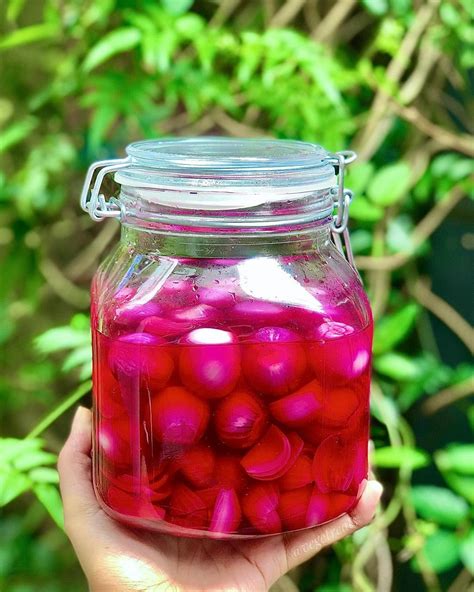 Pickled Red Onions Recipe / Easiest Way to Make  Pickled Red Onions Recipe