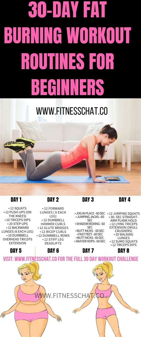 Squat exercises are known as muscle strengthening exercises workout for weight loss for beginners 