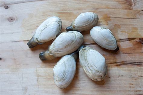 new england steamers recipe