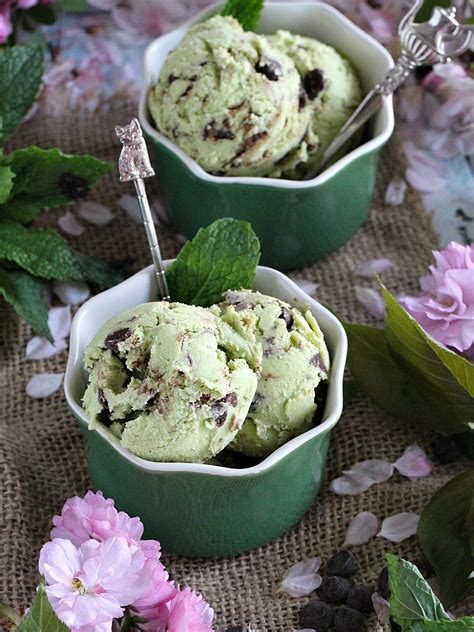 Easiest way to make vegan mint chocolate chip ice cream no churn