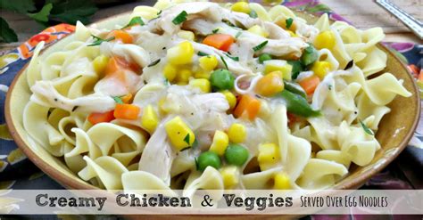 homemade chicken noodle soup recipe without vegetables