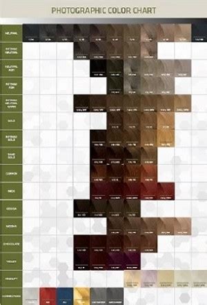 hair care routine chart