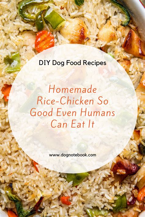 can humans eat freshpet dog food
