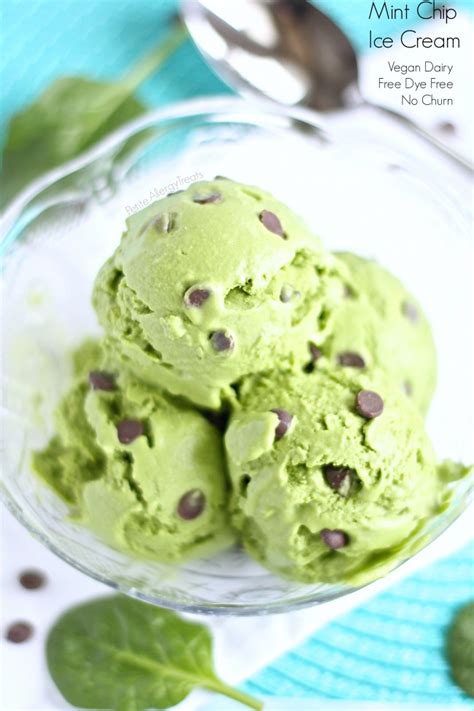 What you need to make vegan mint chocolate chip ice cream no churn