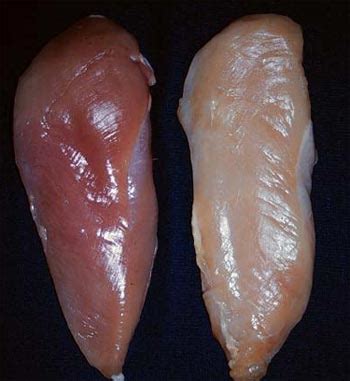 aldis chicken breast fillets