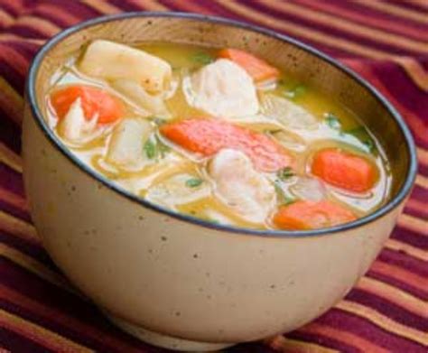 homemade chicken noodle soup with just chicken and noodles