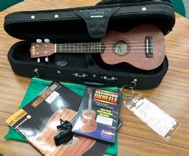 You'll be able to check out six fretted string instruments in our pilot program: check out instrument lending at library