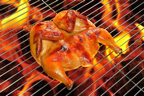 grilled butterfly chicken breast