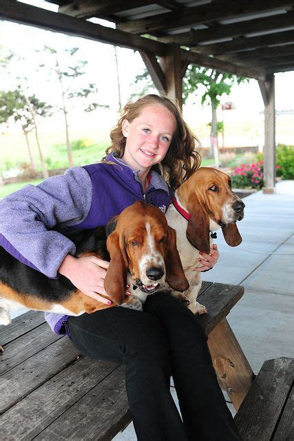 pioneer woman basset hound products